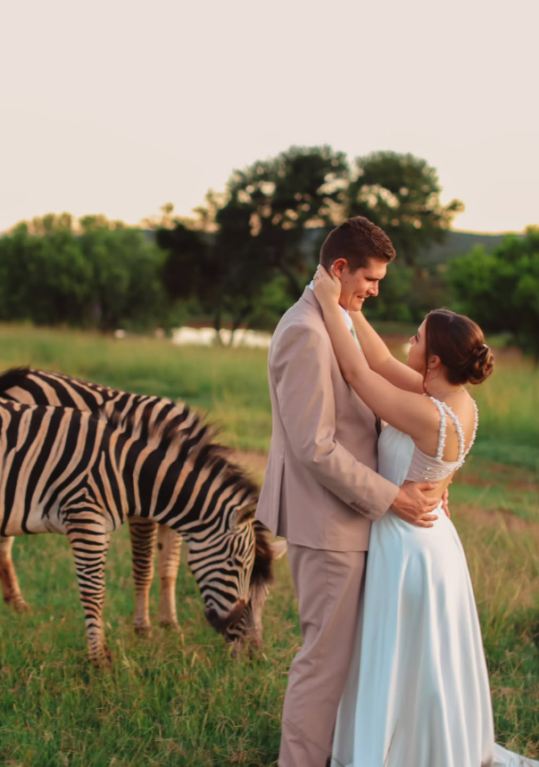Safari Love