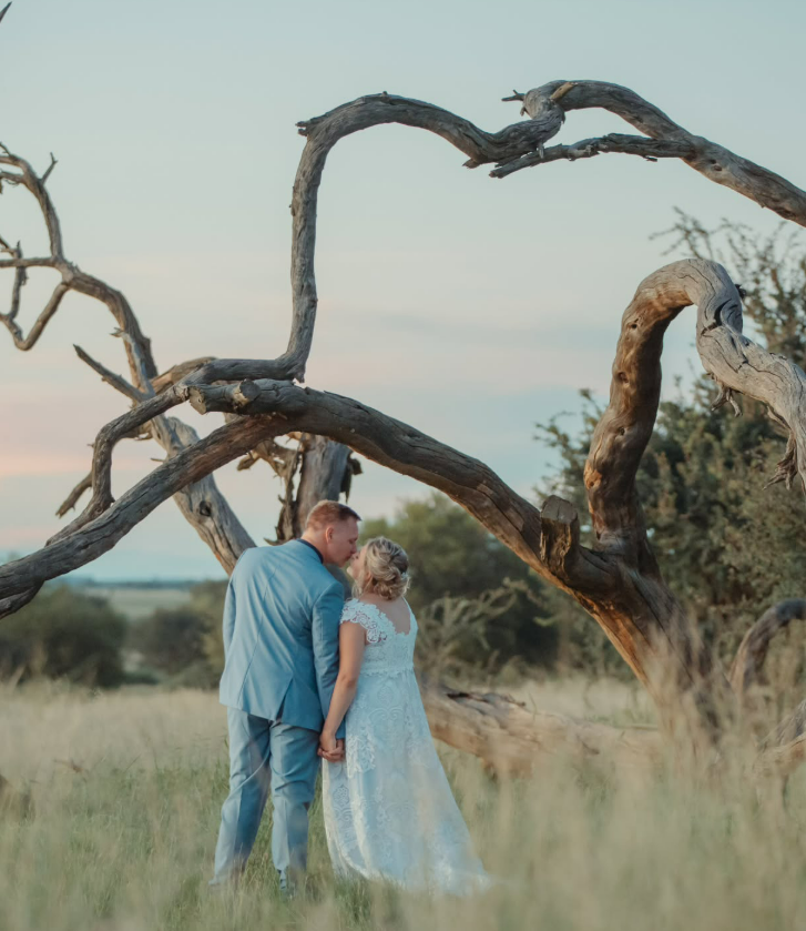 Under the Tree